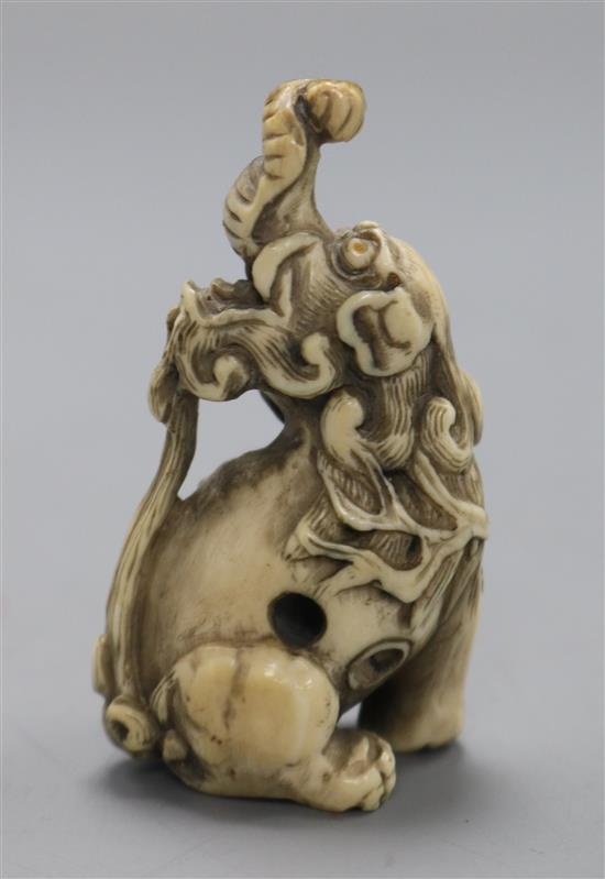 An early 20th century Japanese ivory netsuke of a Baku, (551)